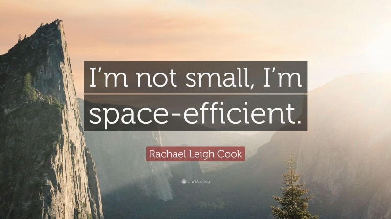 Rachael Leigh Cook Quote: “I’m not small, I’m space-efficient.”
