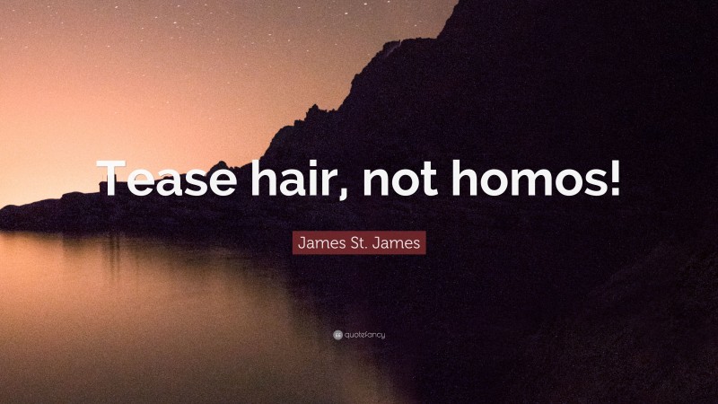 James St. James Quote: “Tease hair, not homos!”