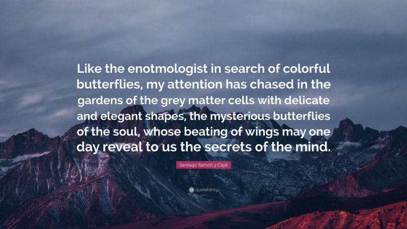Santiago Ramón y Cajal Quote: “Like the enotmologist in search of colorful butterflies, my attention has chased in the gardens of the grey matter cells with delicate and elegant shapes, the mysterious butterflies of the soul, whose beating of wings may one day reveal to us the secrets of the mind.”