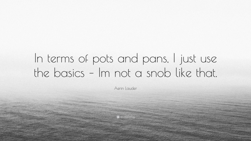 Aerin Lauder Quote: “In terms of pots and pans, I just use the basics – Im not a snob like that.”