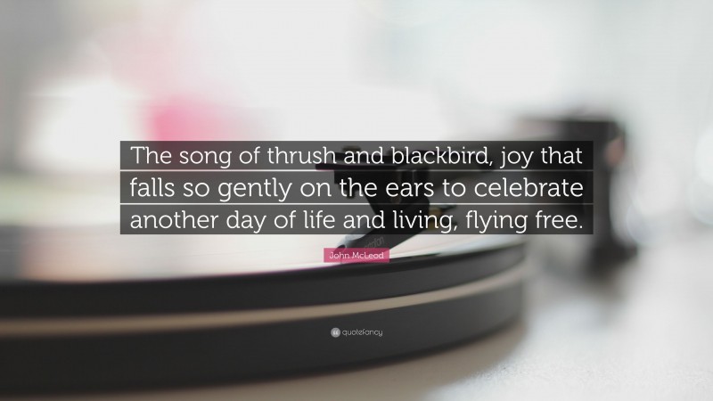John McLeod Quote: “The song of thrush and blackbird, joy that falls so gently on the ears to celebrate another day of life and living, flying free.”