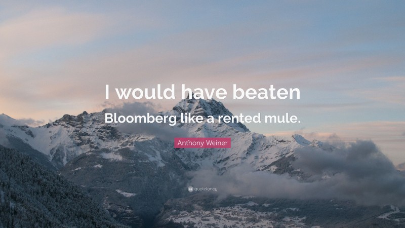 Anthony Weiner Quote: “I would have beaten Bloomberg like a rented mule.”
