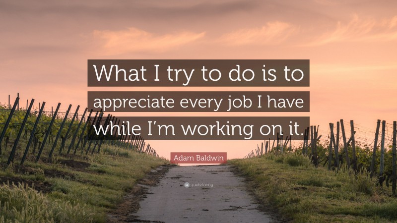 Adam Baldwin Quote: “What I try to do is to appreciate every job I have while I’m working on it.”