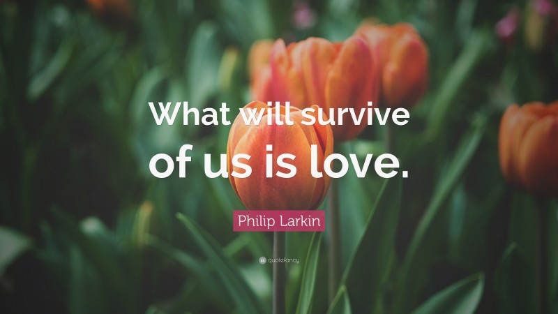 Philip Larkin Quote: “What will survive of us is love.”