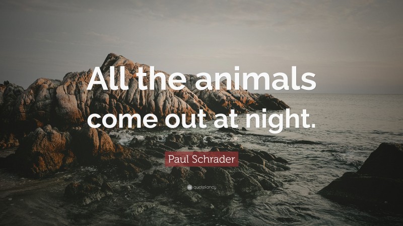 Paul Schrader Quote: “All the animals come out at night.”