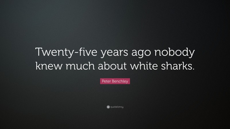 Peter Benchley Quote: “Twenty-five years ago nobody knew much about white sharks.”