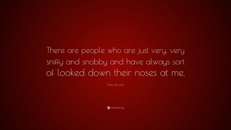 John Bercow Quote: “There are people who are just very, very sniffy and snobby and have always sort of looked down their noses at me.”