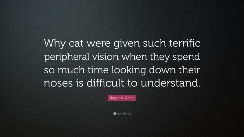 Roger A. Caras Quote: “Why cat were given such terrific peripheral vision when they spend so much time looking down their noses is difficult to understand.”