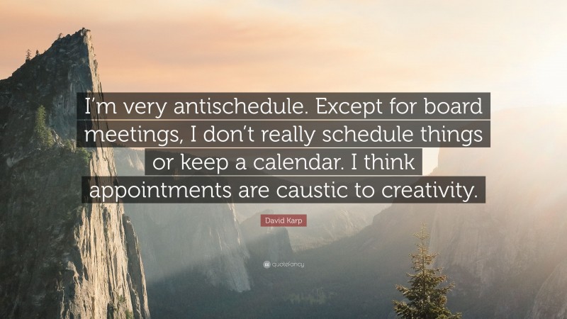 David Karp Quote: “I’m very antischedule. Except for board meetings, I don’t really schedule things or keep a calendar. I think appointments are caustic to creativity.”