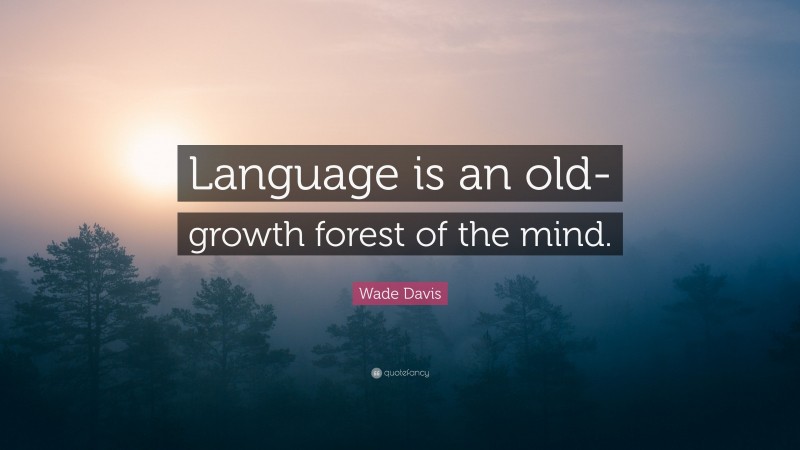 Wade Davis Quote: “Language is an old-growth forest of the mind.”