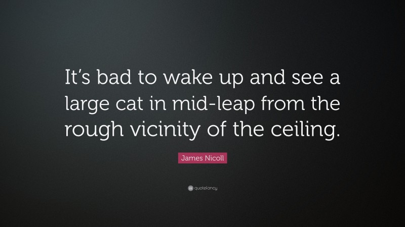 James Nicoll Quote: “It’s bad to wake up and see a large cat in mid-leap from the rough vicinity of the ceiling.”