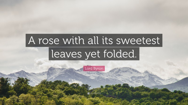 Lord Byron Quote: “A rose with all its sweetest leaves yet folded.”