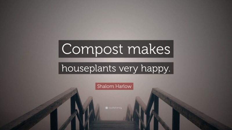 Shalom Harlow Quote: “Compost makes houseplants very happy.”