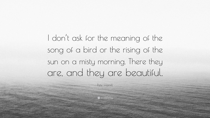 Pete Hamill Quote: “I don’t ask for the meaning of the song of a bird or the rising of the sun on a misty morning. There they are, and they are beautiful.”