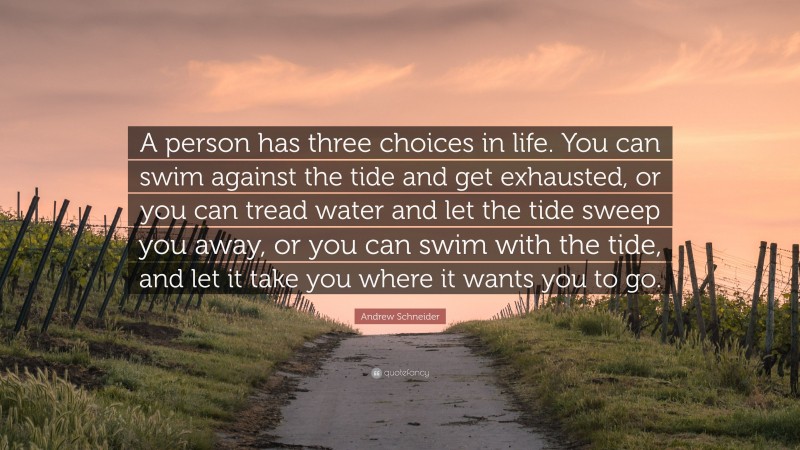 Andrew Schneider Quote: “A person has three choices in life. You can swim against the tide and get exhausted, or you can tread water and let the tide sweep you away, or you can swim with the tide, and let it take you where it wants you to go.”