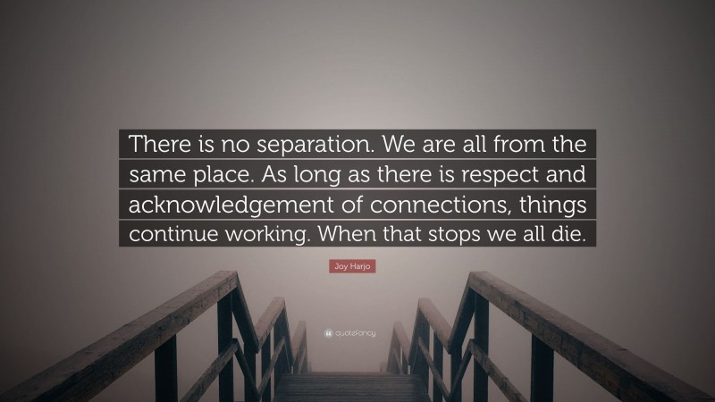 Joy Harjo Quote: “There is no separation. We are all from the same place. As long as there is respect and acknowledgement of connections, things continue working. When that stops we all die.”