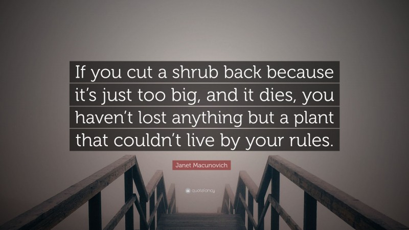Janet Macunovich Quote: “If you cut a shrub back because it’s just too big, and it dies, you haven’t lost anything but a plant that couldn’t live by your rules.”