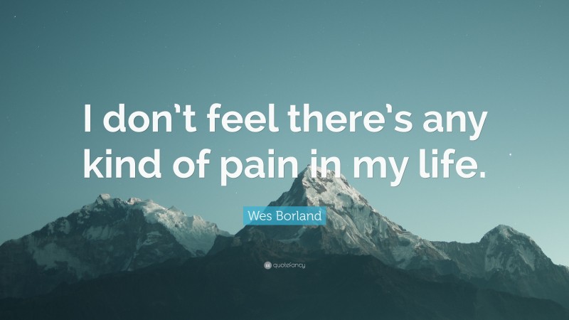 Wes Borland Quote: “I don’t feel there’s any kind of pain in my life.”
