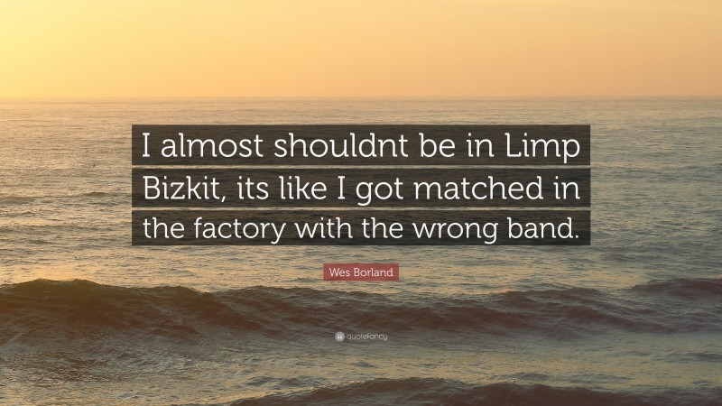 Wes Borland Quote: “I almost shouldnt be in Limp Bizkit, its like I got matched in the factory with the wrong band.”