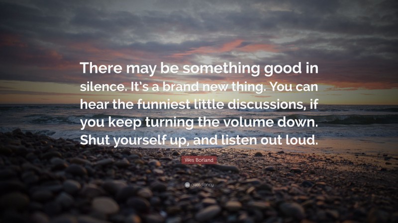 Wes Borland Quote: “There may be something good in silence. It’s a brand new thing. You can hear the funniest little discussions, if you keep turning the volume down. Shut yourself up, and listen out loud.”