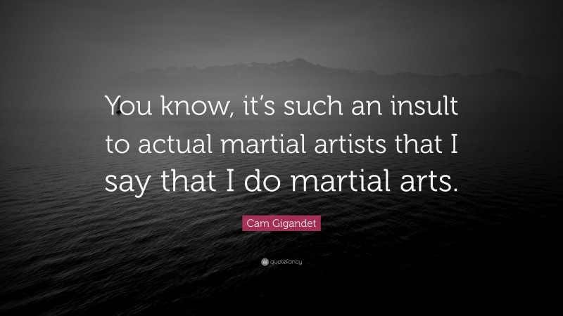 Cam Gigandet Quote: “You know, it’s such an insult to actual martial artists that I say that I do martial arts.”