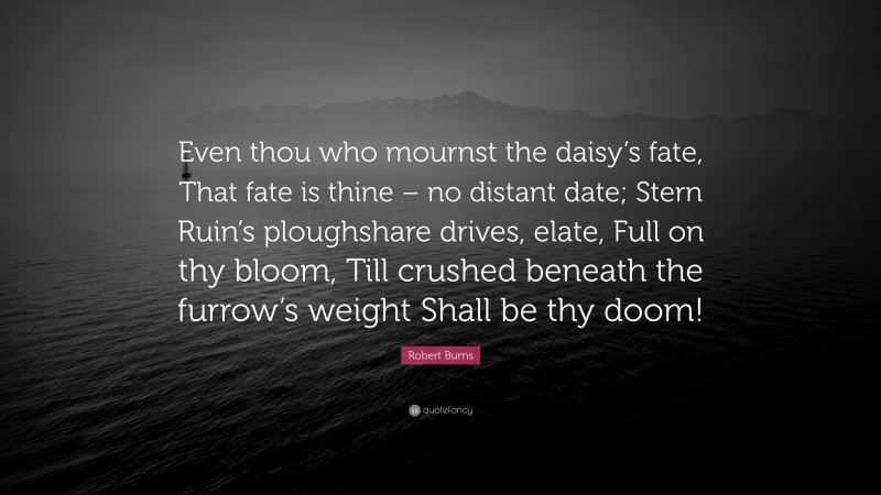 Robert Burns Quote: “Even thou who mournst the daisy’s fate, That fate is thine – no distant date; Stern Ruin’s ploughshare drives, elate, Full on thy bloom, Till crushed beneath the furrow’s weight Shall be thy doom!”