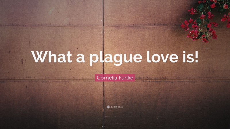 Cornelia Funke Quote: “What a plague love is!”