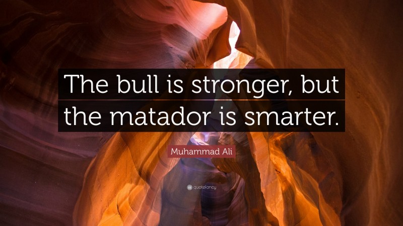 Muhammad Ali Quote: “The bull is stronger, but the matador is smarter.”