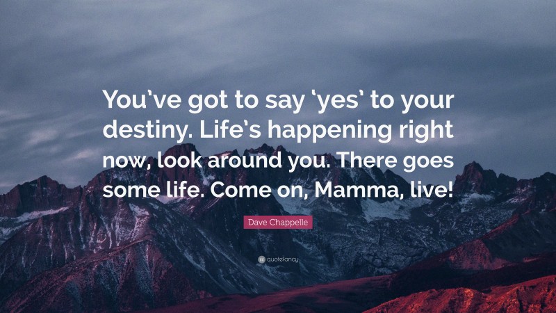 Dave Chappelle Quote: “You’ve got to say ‘yes’ to your destiny. Life’s happening right now, look around you. There goes some life. Come on, Mamma, live!”