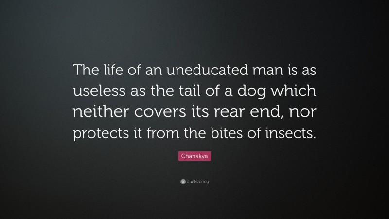 Chanakya Quote: “The life of an uneducated man is as useless as the tail of a dog which neither covers its rear end, nor protects it from the bites of insects.”