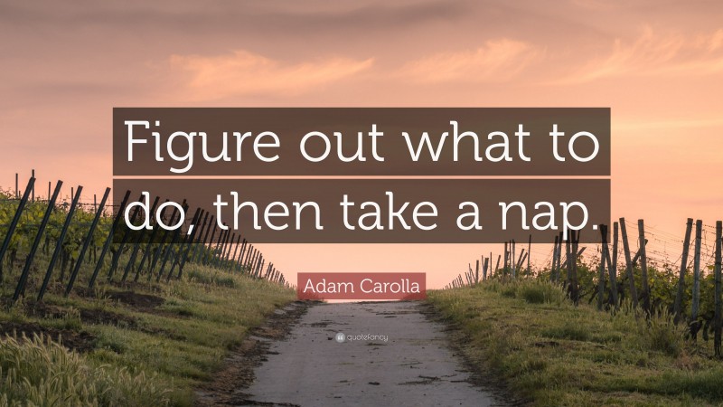Adam Carolla Quote: “Figure out what to do, then take a nap.”