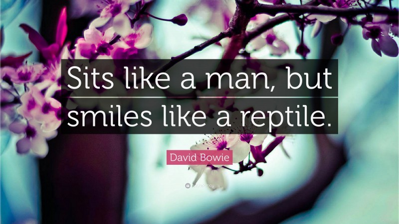 David Bowie Quote: “Sits like a man, but smiles like a reptile.”
