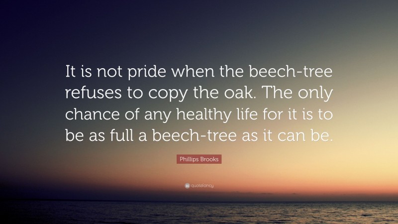 Phillips Brooks Quote: “It is not pride when the beech-tree refuses to copy the oak. The only chance of any healthy life for it is to be as full a beech-tree as it can be.”