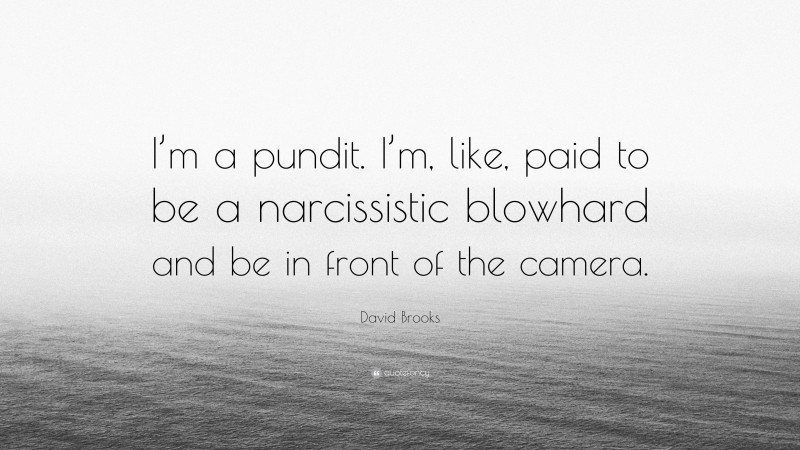 David Brooks Quote: “I’m a pundit. I’m, like, paid to be a narcissistic blowhard and be in front of the camera.”