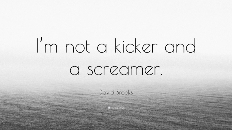David Brooks Quote: “I’m not a kicker and a screamer.”