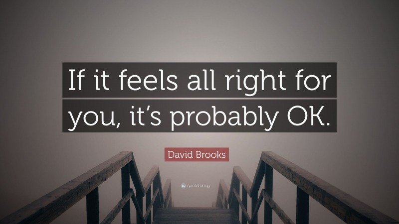 David Brooks Quote: “If it feels all right for you, it’s probably OK.”