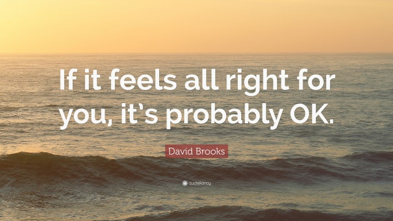 David Brooks Quote: “If it feels all right for you, it’s probably OK.”
