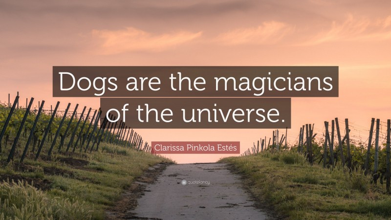 Clarissa Pinkola Estés Quote: “Dogs are the magicians of the universe.”