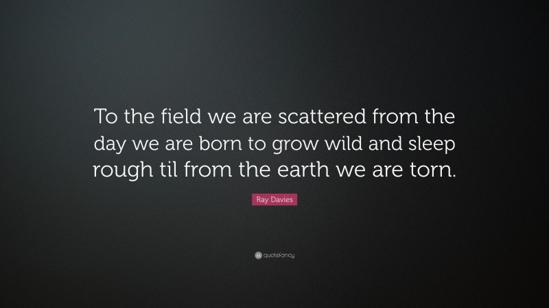 Ray Davies Quote: “To the field we are scattered from the day we are born to grow wild and sleep rough til from the earth we are torn.”
