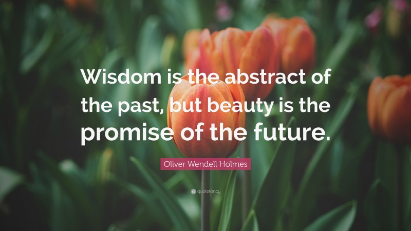 Oliver Wendell Holmes Quote: “Wisdom is the abstract of the past, but beauty is the promise of the future.”