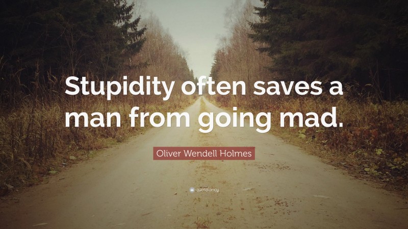 Oliver Wendell Holmes Quote: “Stupidity often saves a man from going mad.”