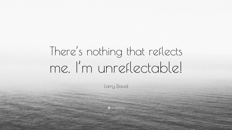 Larry David Quote: “There’s nothing that reflects me. I’m unreflectable!”