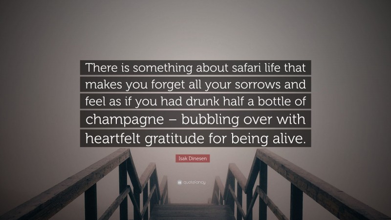 Isak Dinesen Quote: “There is something about safari life that makes you forget all your sorrows and feel as if you had drunk half a bottle of champagne – bubbling over with heartfelt gratitude for being alive.”