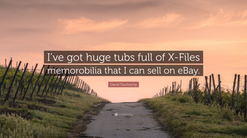 David Duchovny Quote: “I’ve got huge tubs full of X-Files memorobilia that I can sell on eBay.”