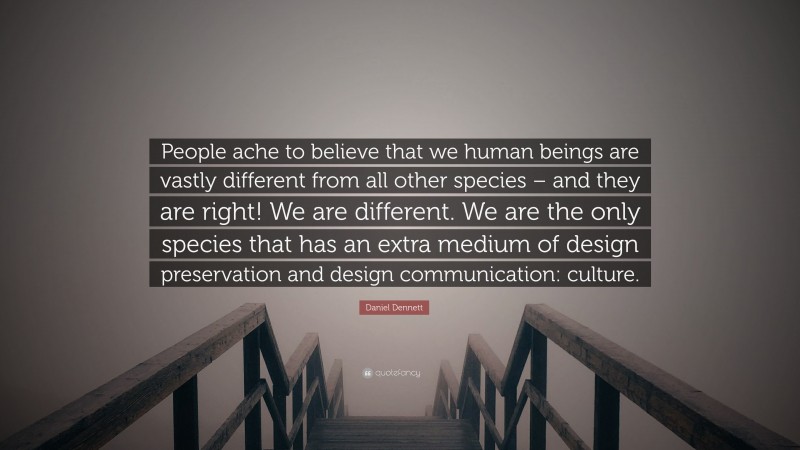 Daniel Dennett Quote: “People ache to believe that we human beings are vastly different from all other species – and they are right! We are different. We are the only species that has an extra medium of design preservation and design communication: culture.”