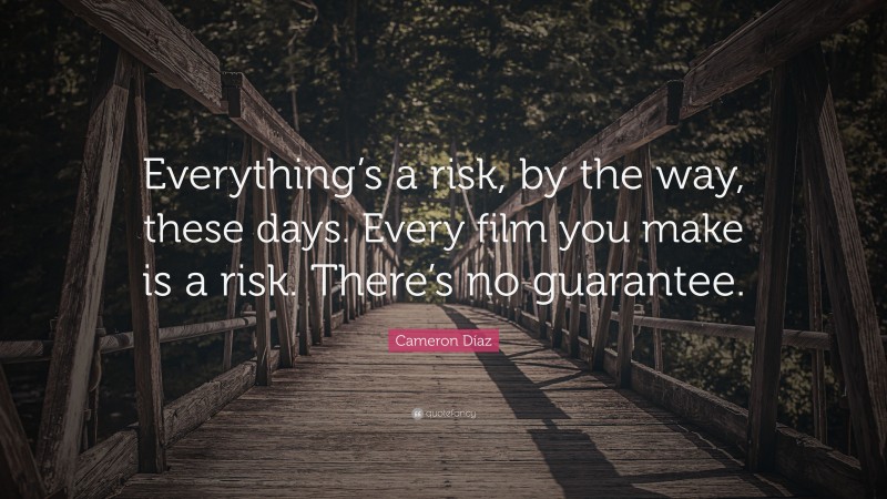 Cameron Díaz Quote: “Everything’s a risk, by the way, these days. Every film you make is a risk. There’s no guarantee.”