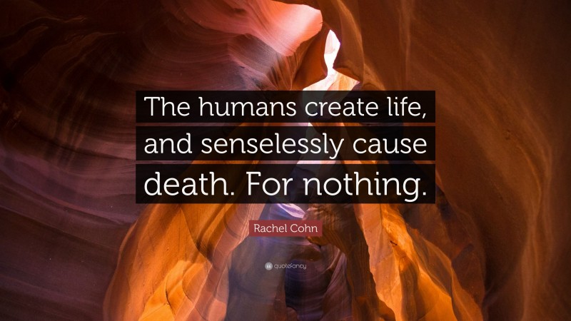 Rachel Cohn Quote: “The humans create life, and senselessly cause death. For nothing.”