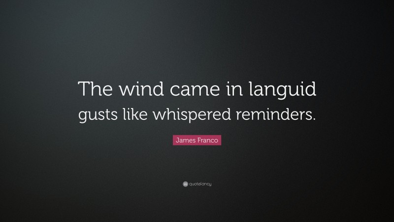 James Franco Quote: “The wind came in languid gusts like whispered reminders.”