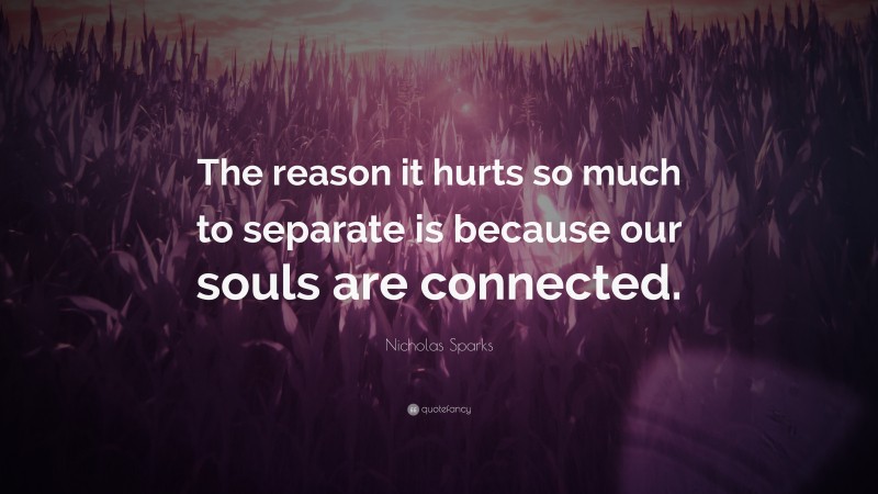 Nicholas Sparks Quote: “The reason it hurts so much to separate is because our souls are connected.”