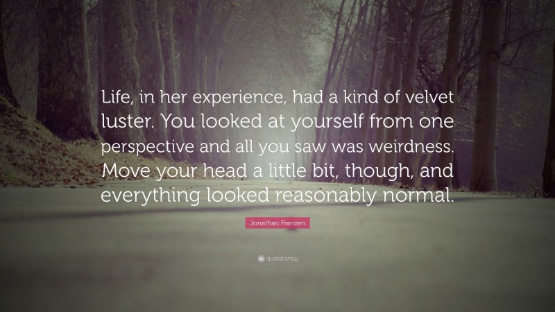 Jonathan Franzen Quote: “Life, in her experience, had a kind of velvet luster. You looked at yourself from one perspective and all you saw was weirdness. Move your head a little bit, though, and everything looked reasonably normal.”
